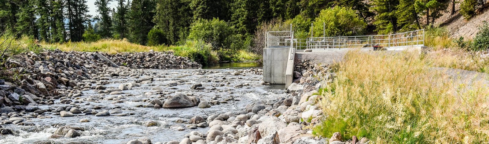 Allendale Canal and Fish Screen