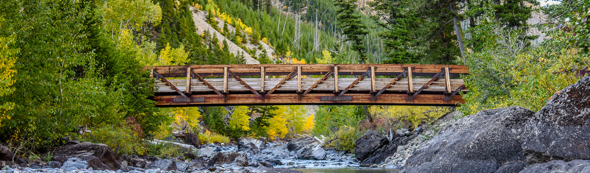 Header Background Image