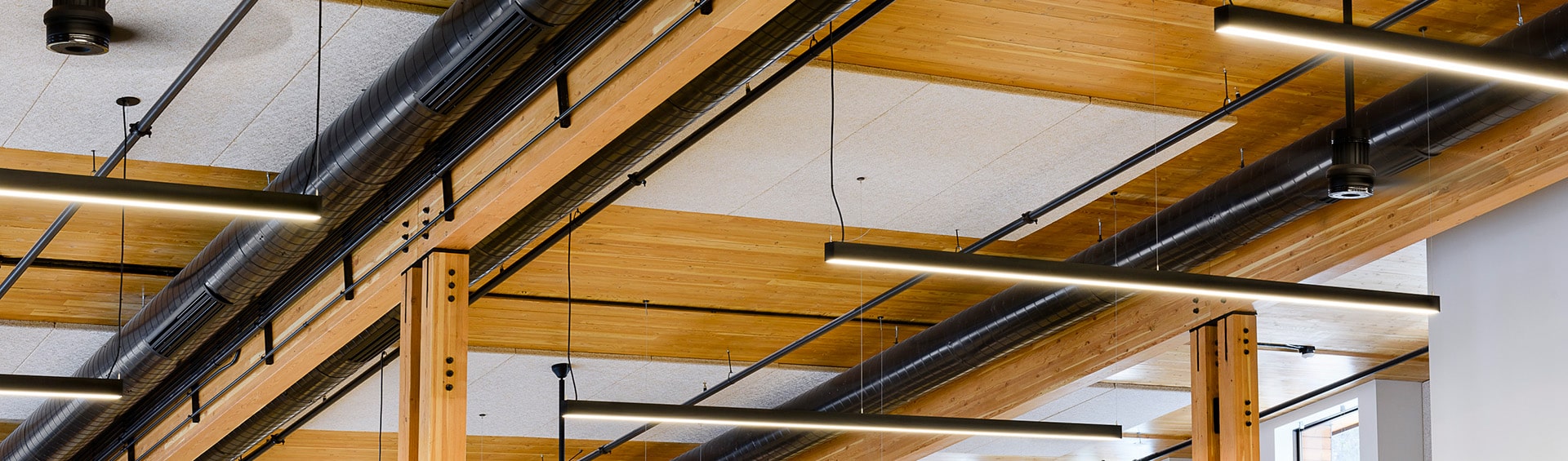 Header Background Image