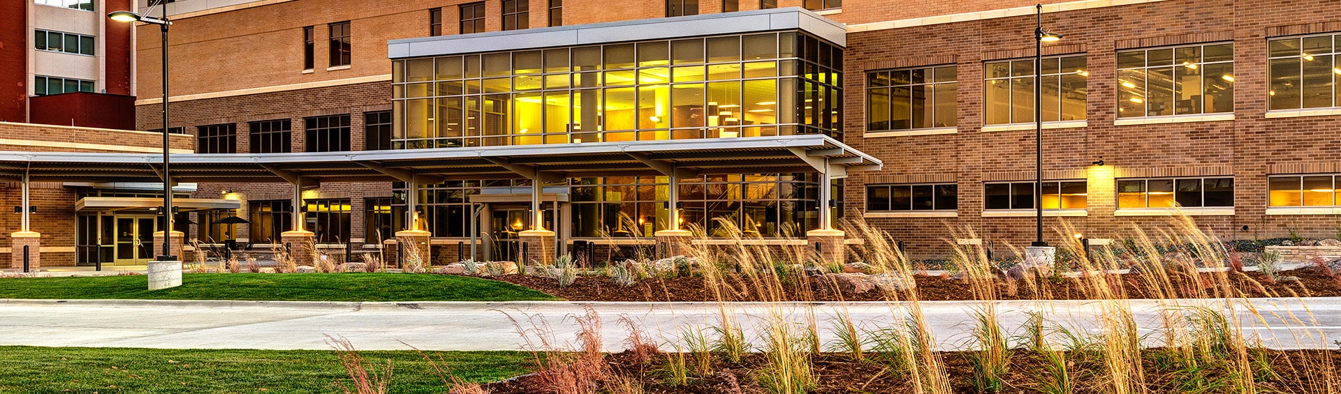 Header Background Image