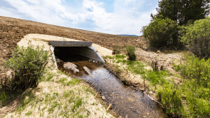 Mill creek flowing from an outflow culvert into newly restored stream banks. 